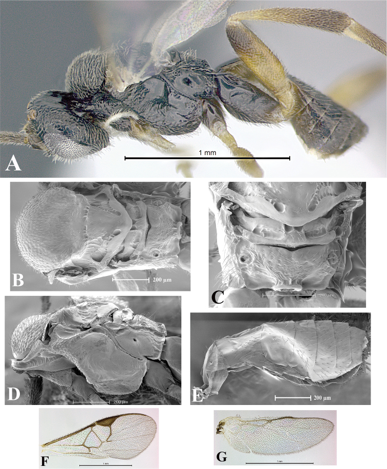 Figure 161.