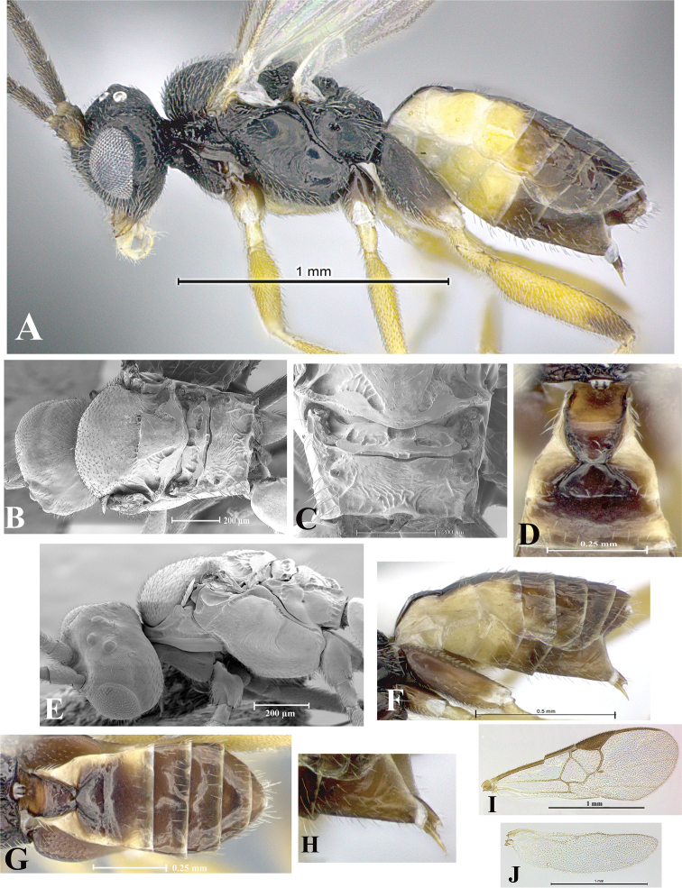 Figure 109.