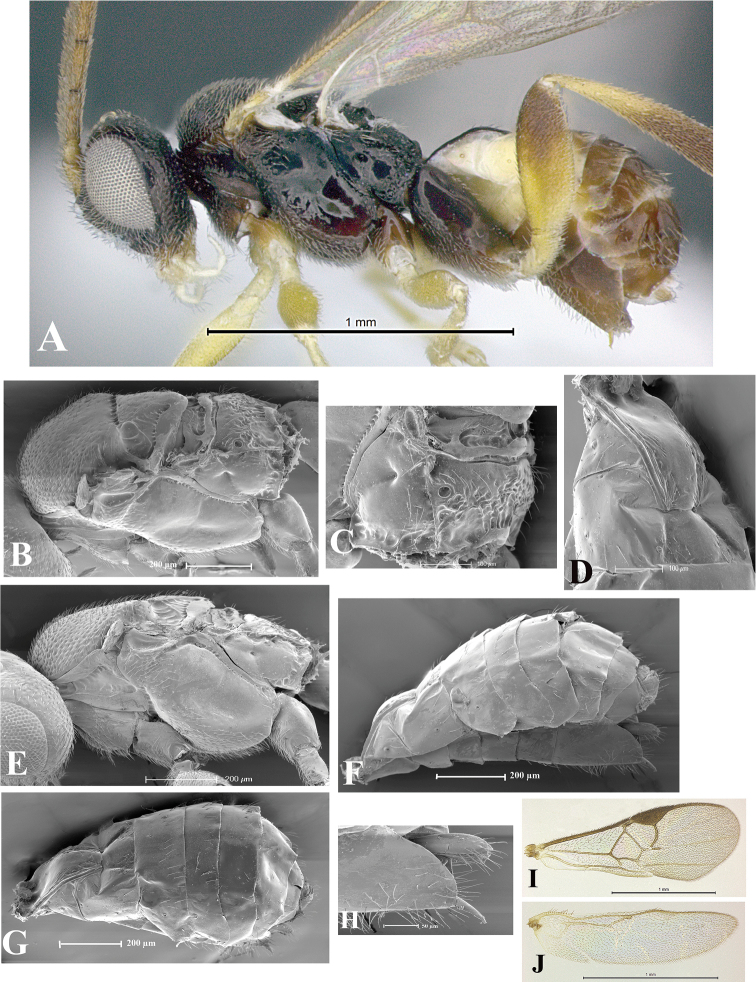 Figure 46.