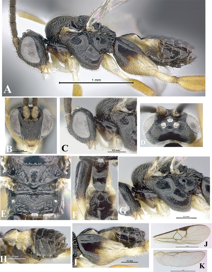 Figure 172.