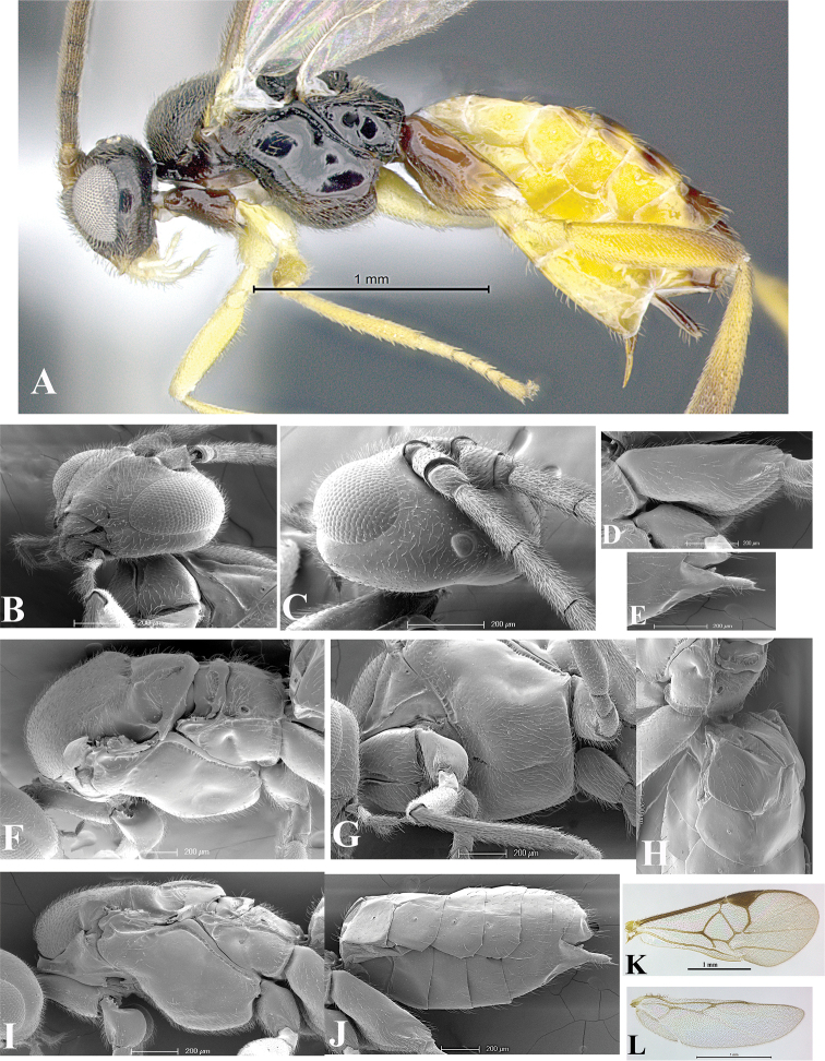 Figure 14.