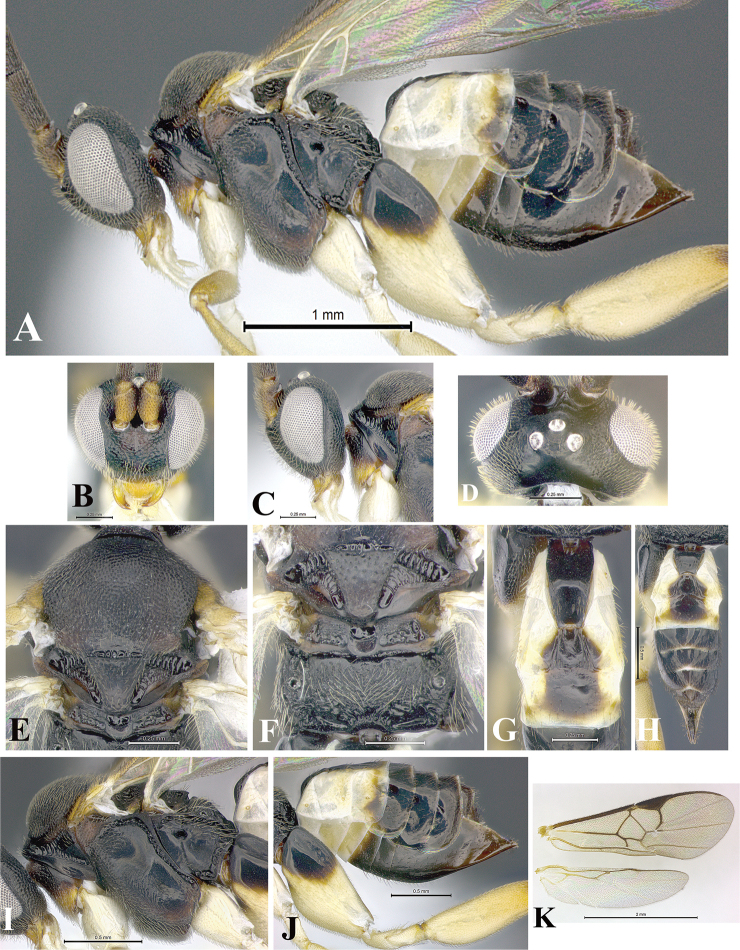 Figure 210.