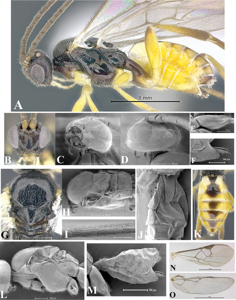 Figure 16.