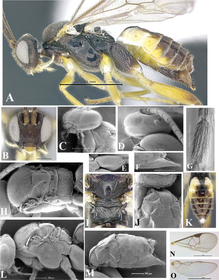 Figure 35.