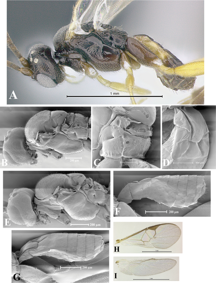 Figure 55.