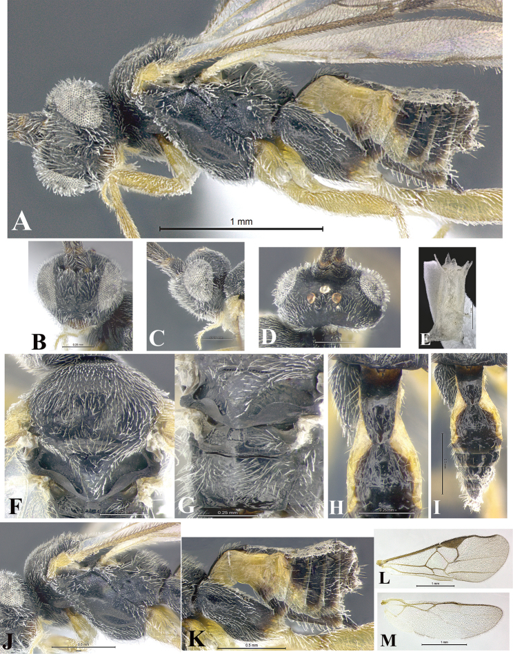 Figure 27.