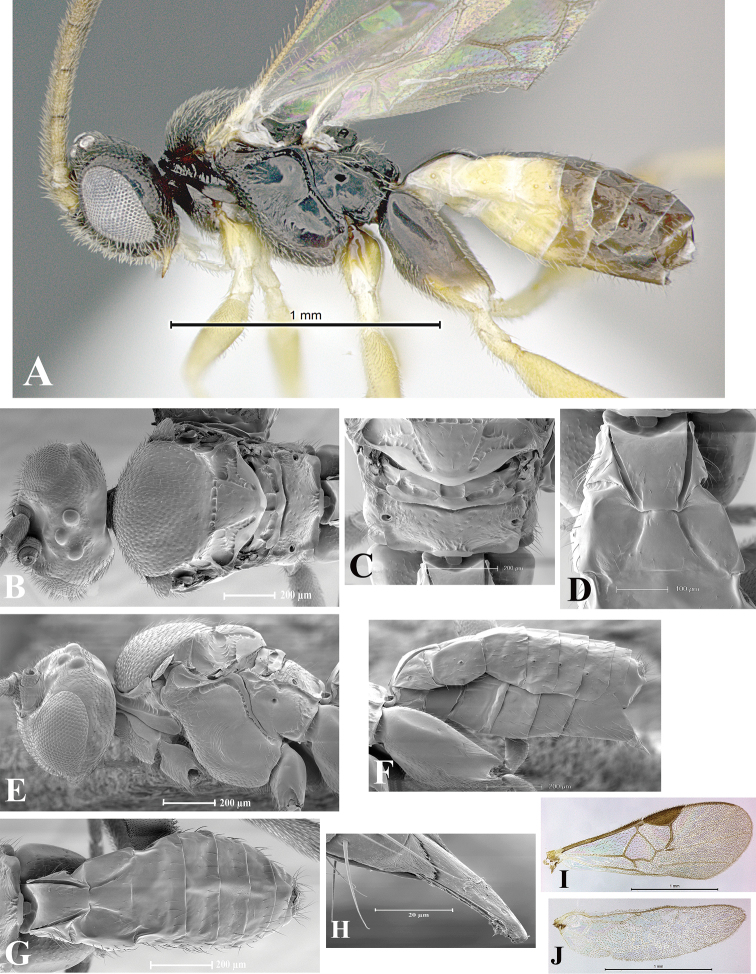 Figure 116.