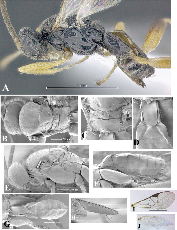 Figure 107.