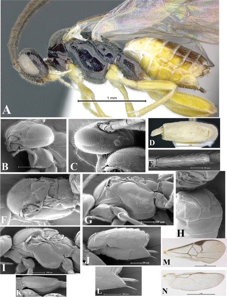 Figure 29.