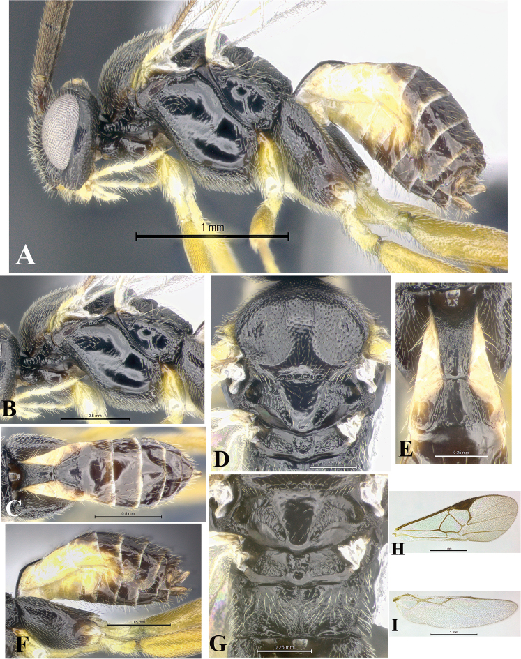 Figure 59.