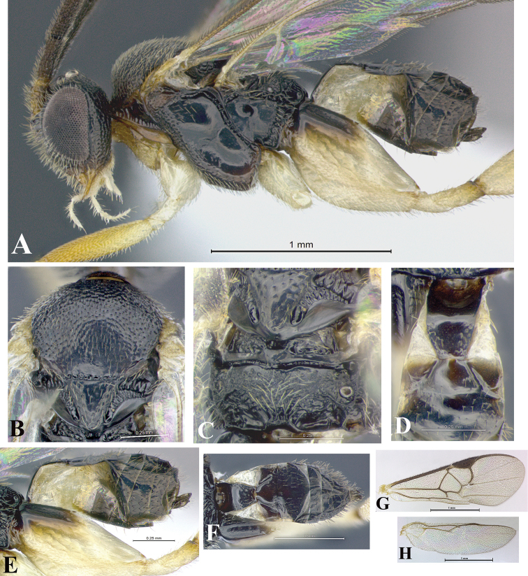 Figure 169.