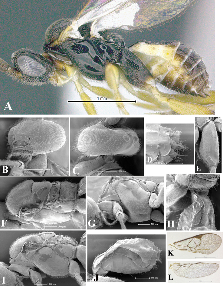 Figure 34.