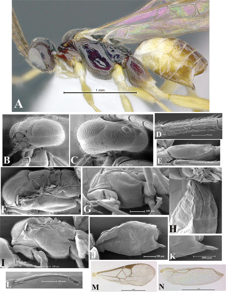 Figure 25.