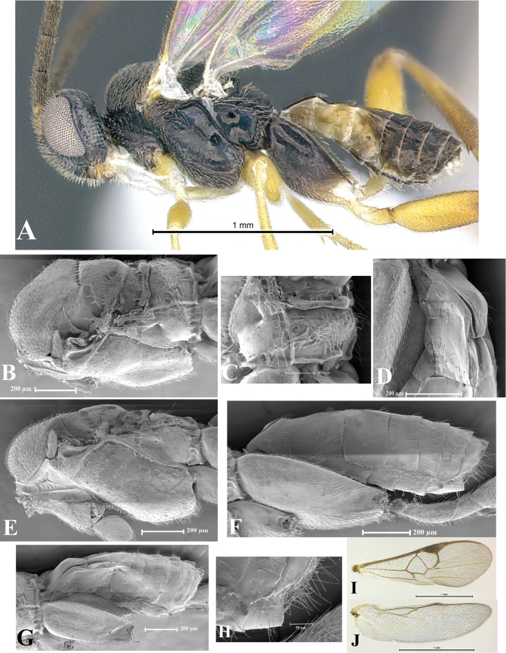 Figure 49.