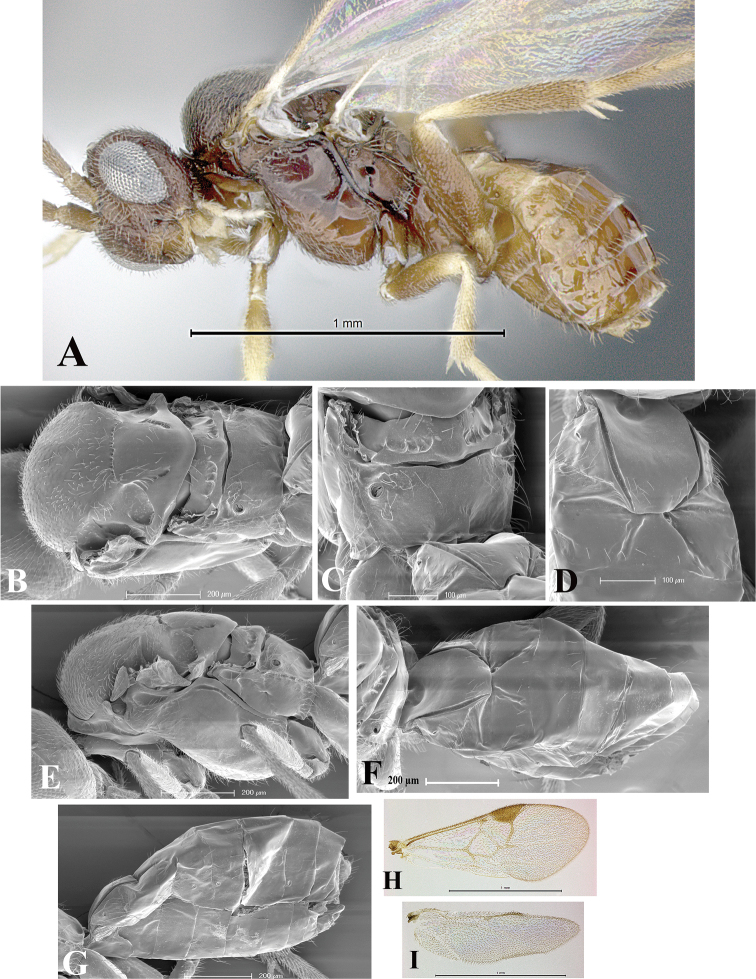 Figure 126.