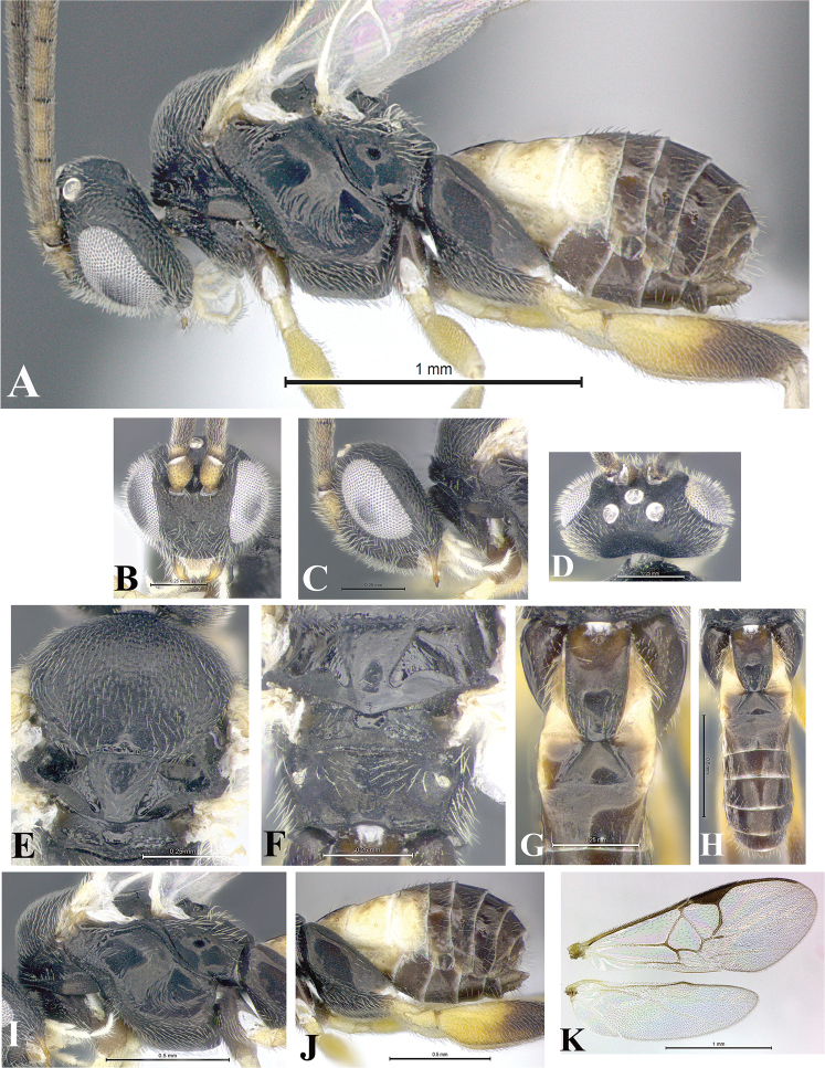 Figure 214.