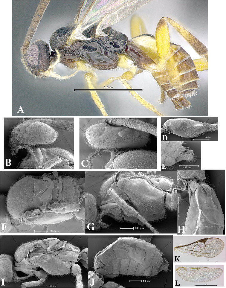 Figure 17.