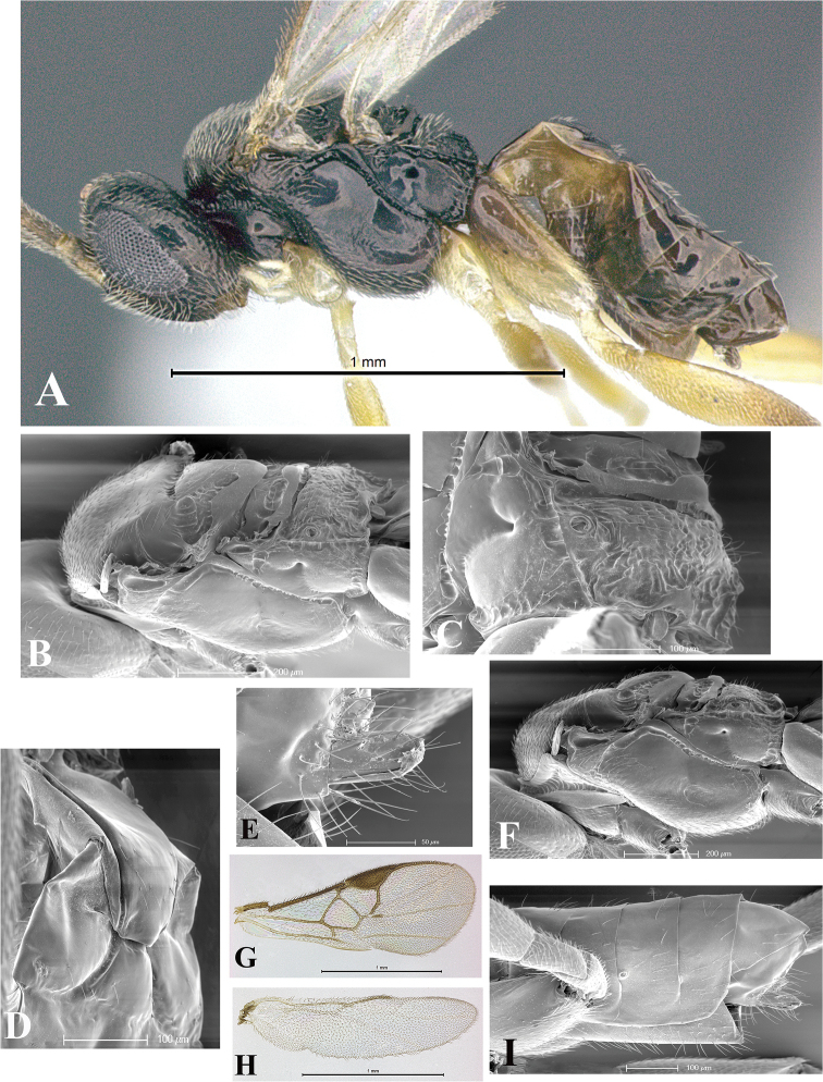 Figure 44.