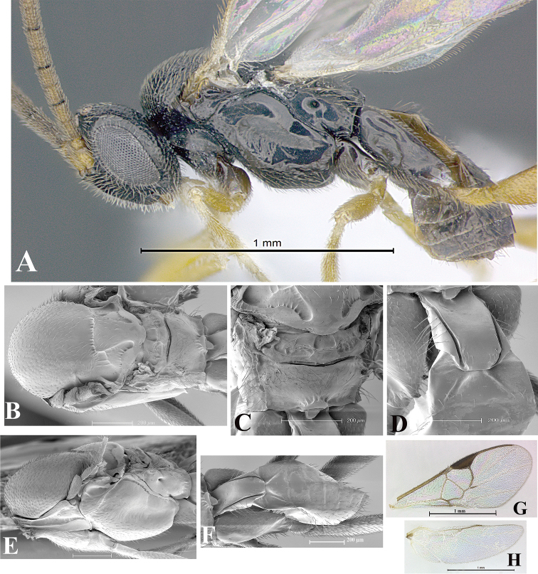 Figure 108.