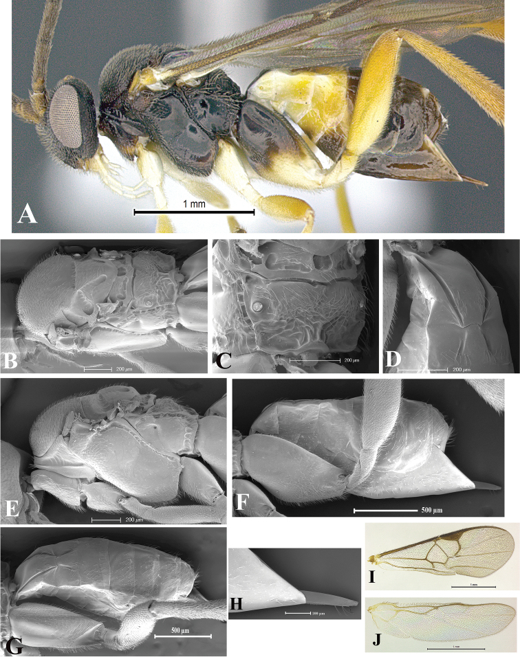 Figure 50.