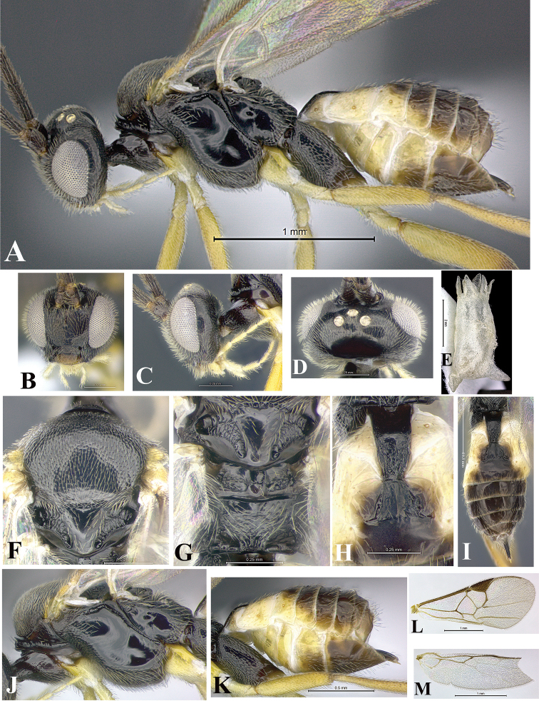 Figure 41.