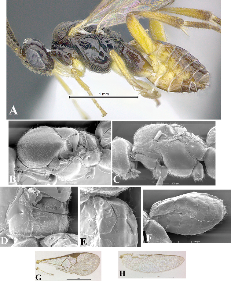 Figure 40.