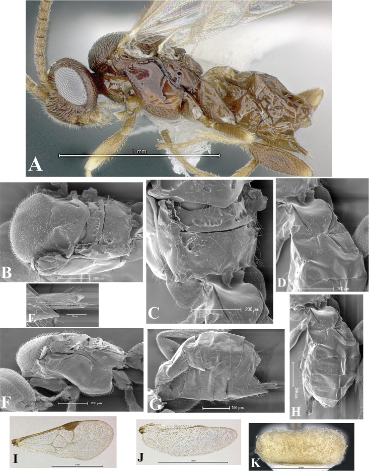 Figure 125.