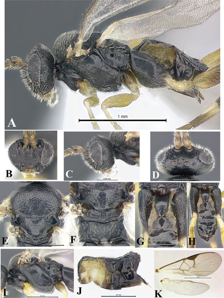 Figure 217.