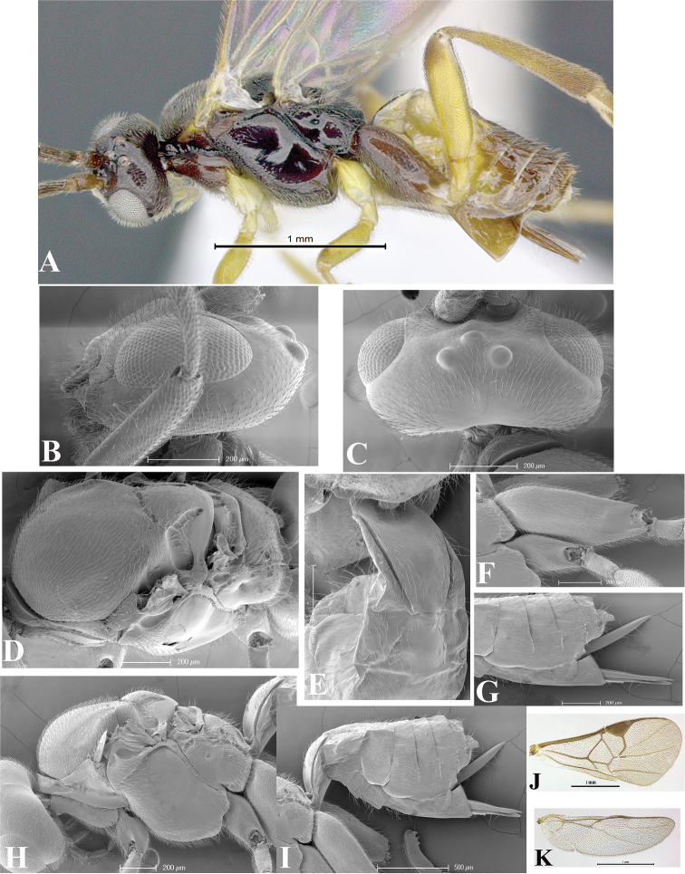 Figure 10.