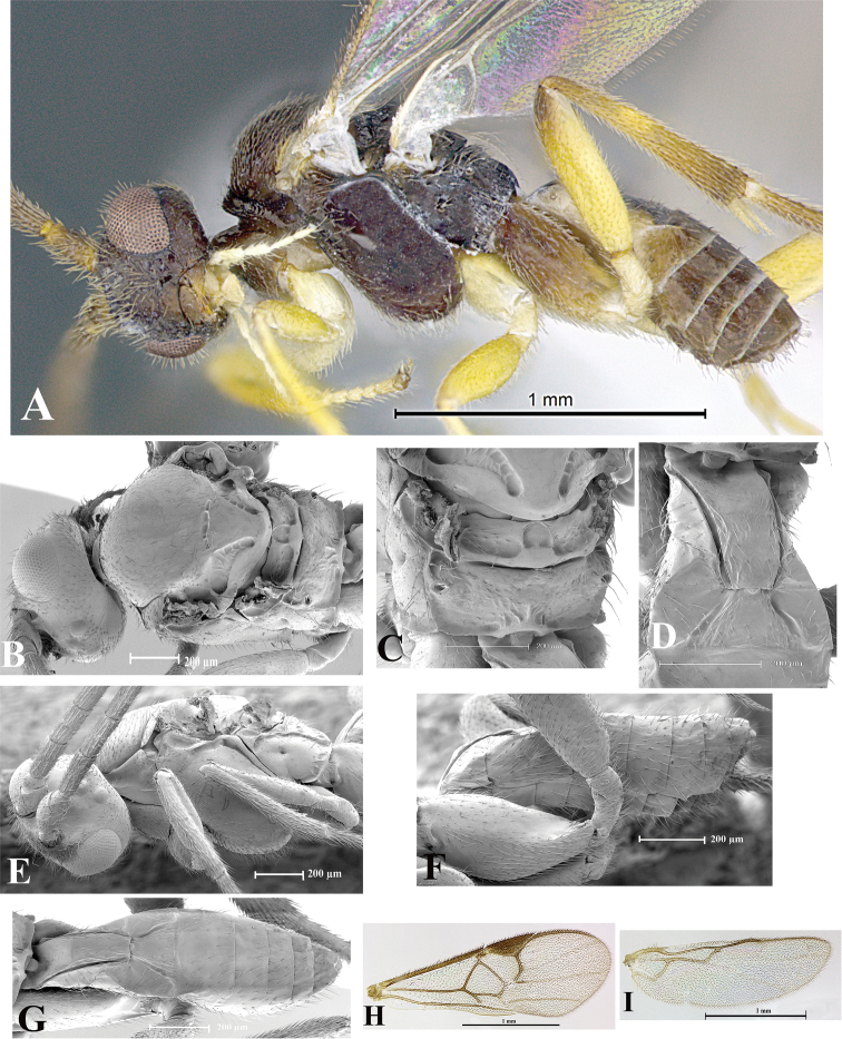 Figure 159.