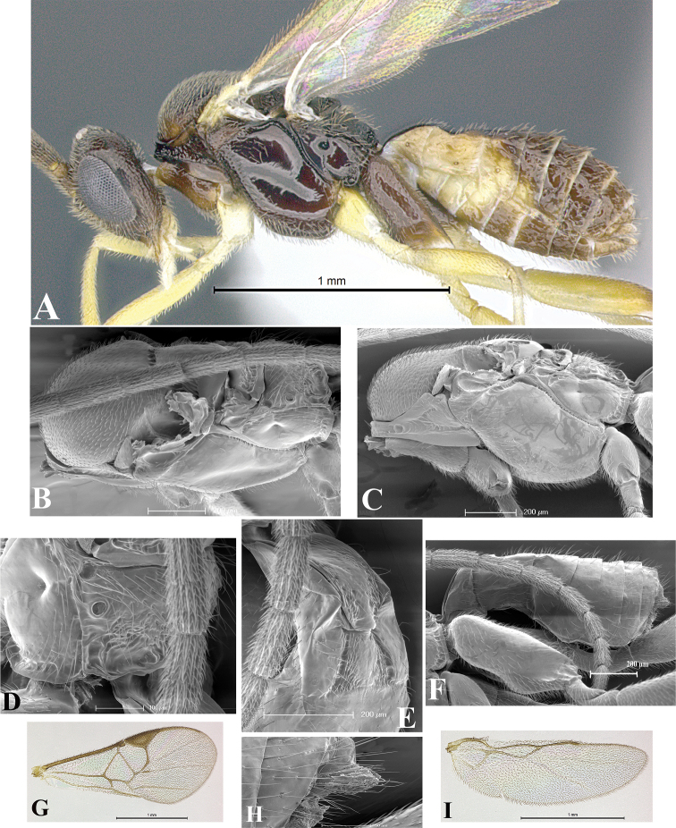 Figure 43.