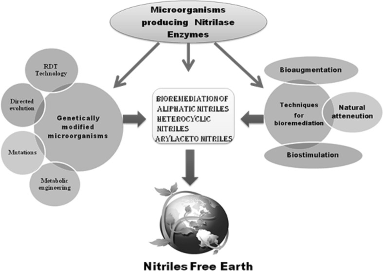 Fig. 4