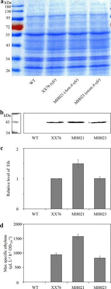 Fig. 4