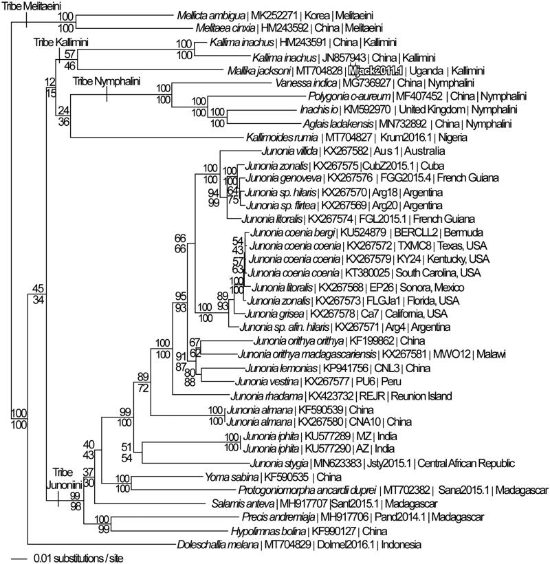 Figure 1.