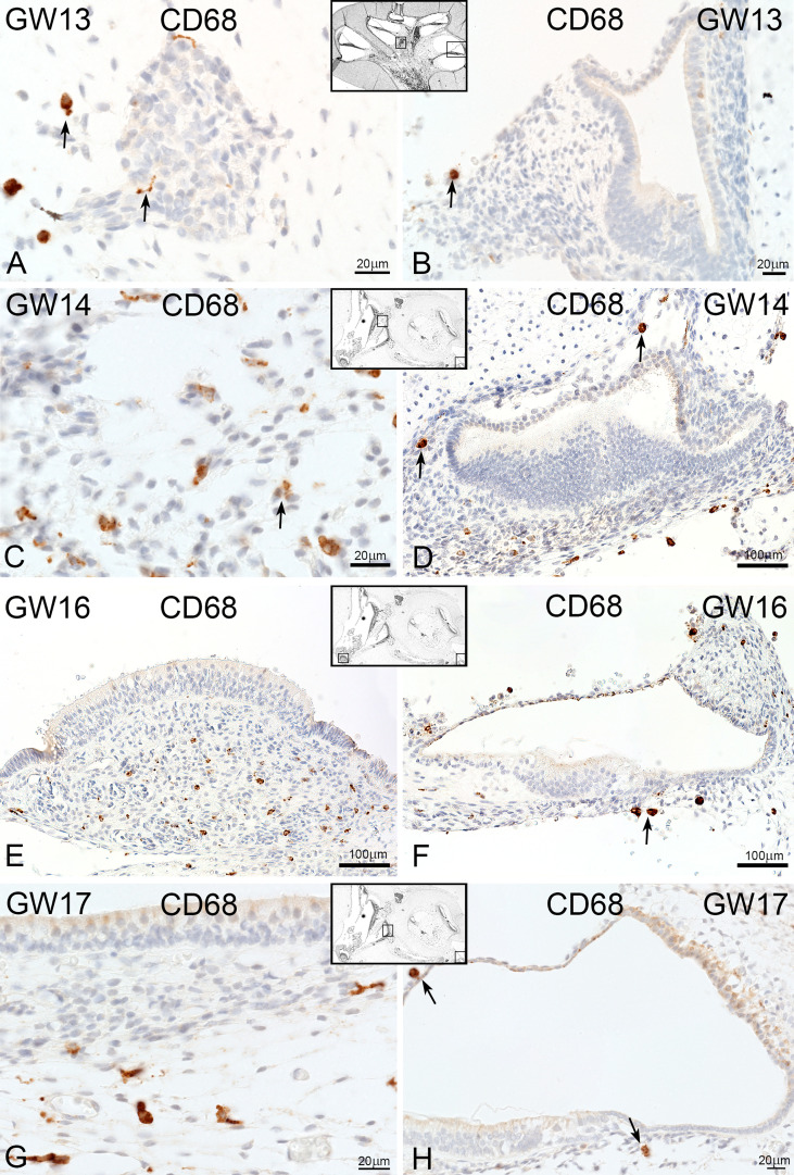 Figure 7