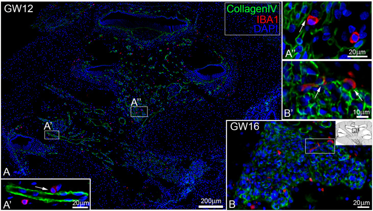 Figure 3