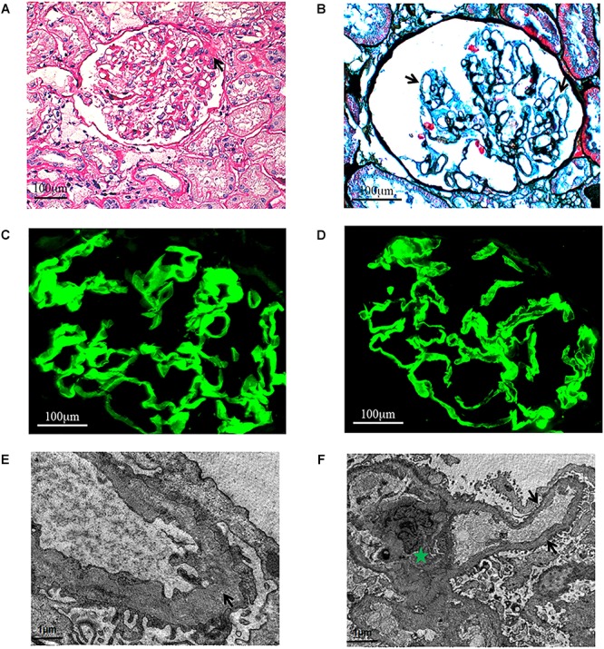 FIGURE 2