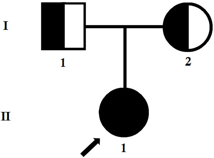 FIGURE 1