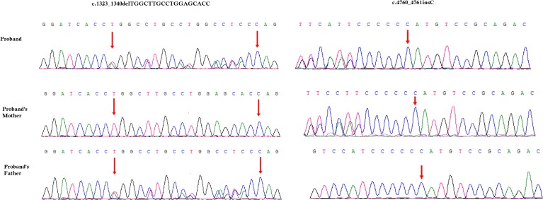 FIGURE 3