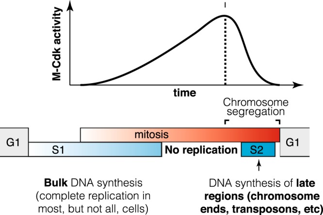 Fig. 8