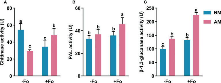 Figure 4