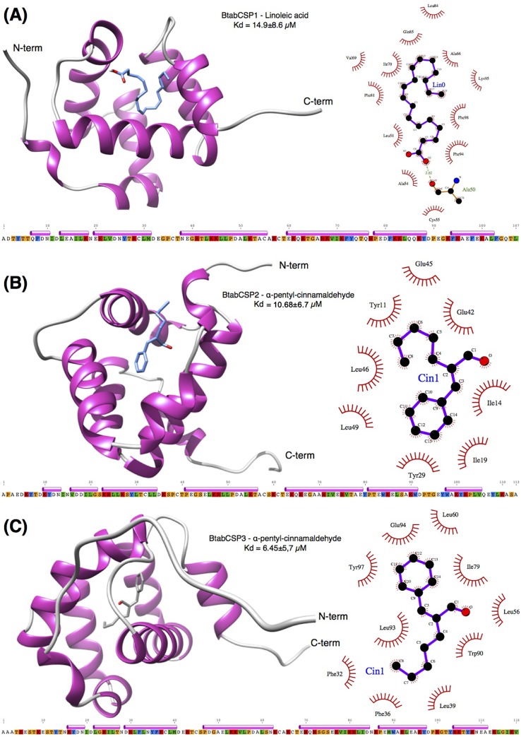 Fig 7