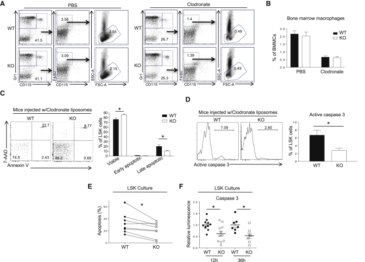 Figure 6