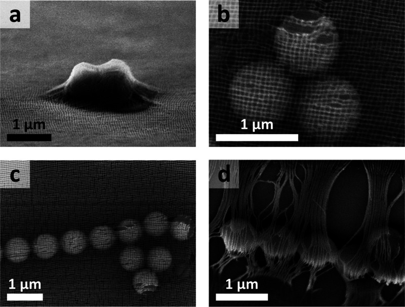 Figure 7