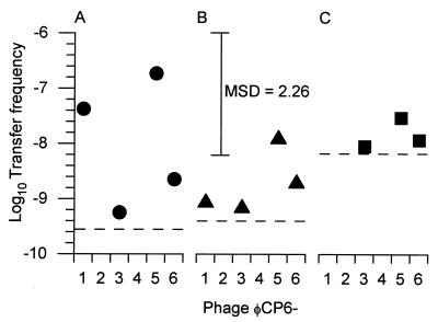 FIG. 6