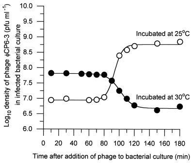 FIG. 7