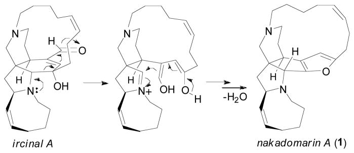 Scheme 1