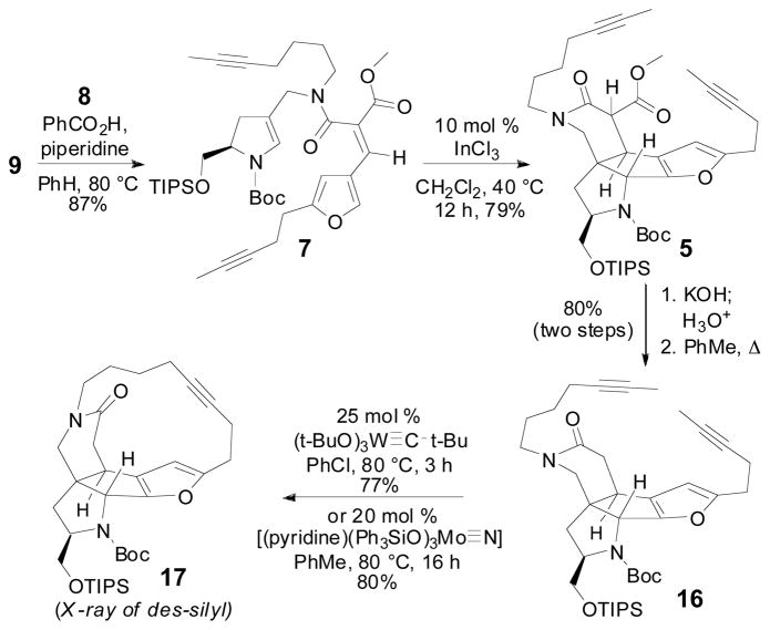 Scheme 6