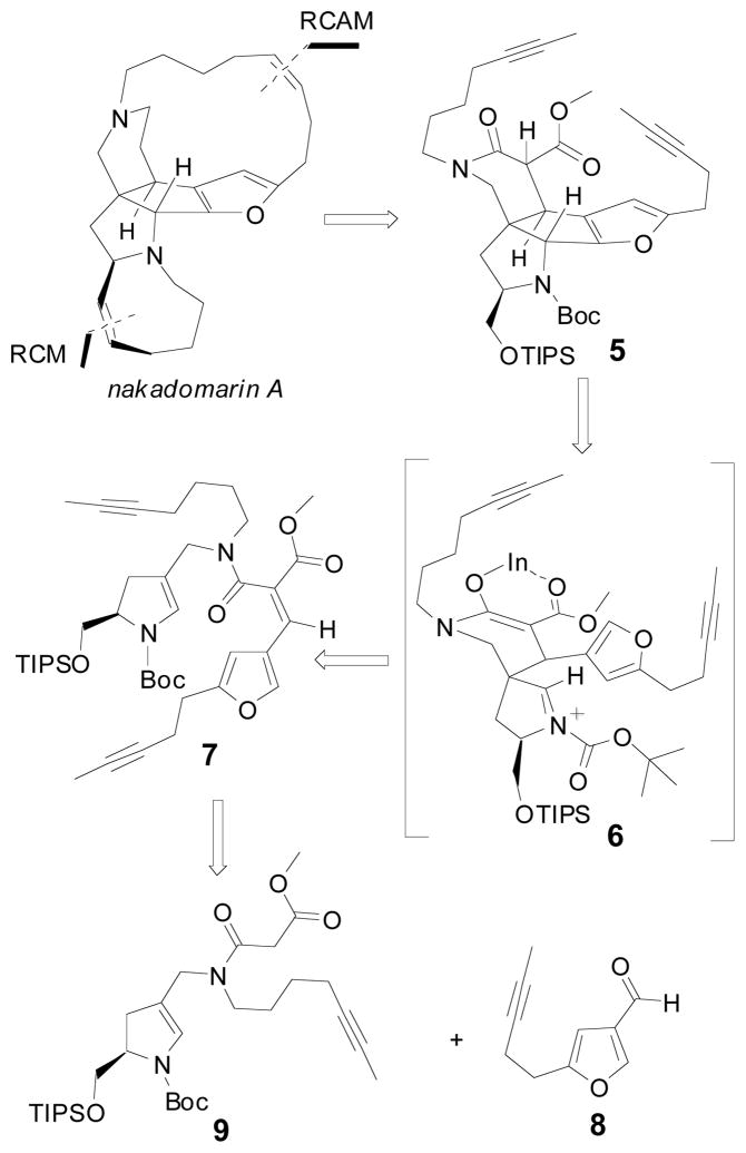 Scheme 3