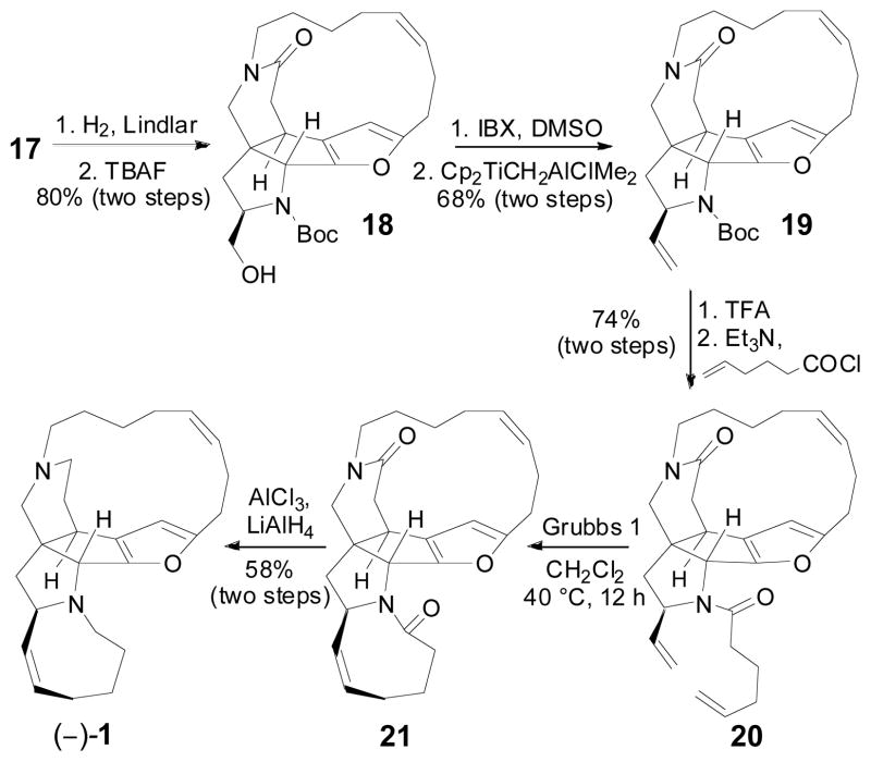 Scheme 7